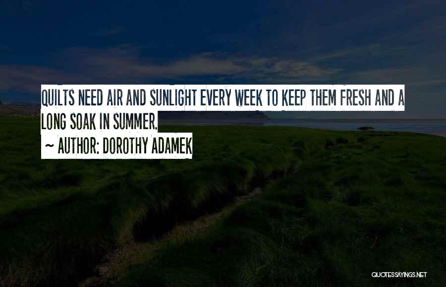 Sunlight Quotes By Dorothy Adamek