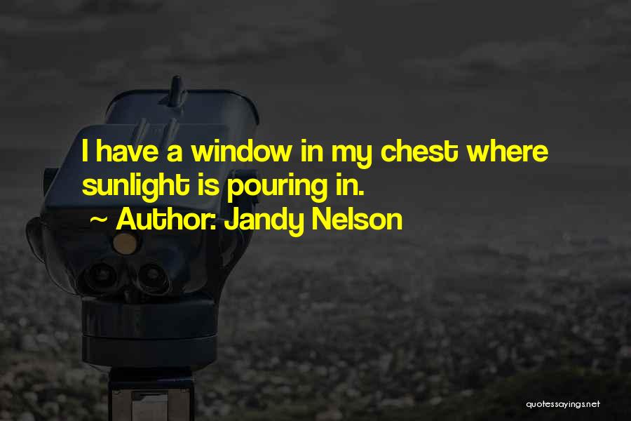 Sunlight Quotes By Jandy Nelson