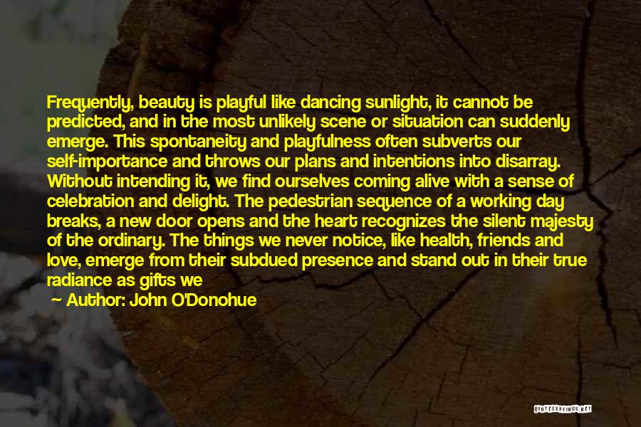 Sunlight Quotes By John O'Donohue