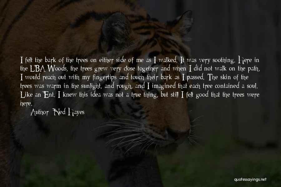 Sunlight Quotes By Ned Hayes Sunlight Quotes By Ned Hayes