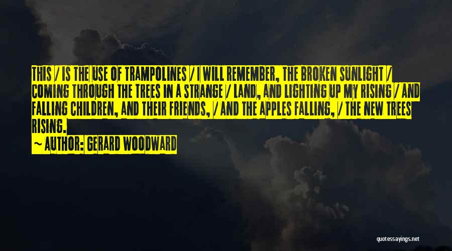 Sunlight Through Trees Quotes By Gerard Woodward