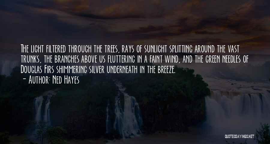 Sunlight Through Trees Quotes By Ned Hayes