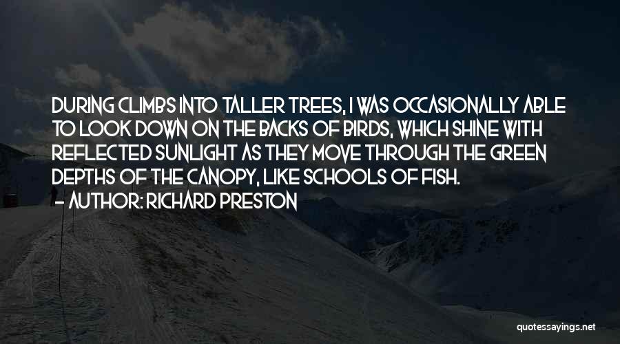 Sunlight Through Trees Quotes By Richard Preston