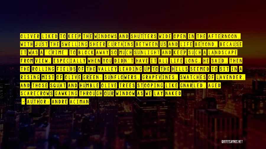 Sunlight Window Quotes By Andre Aciman