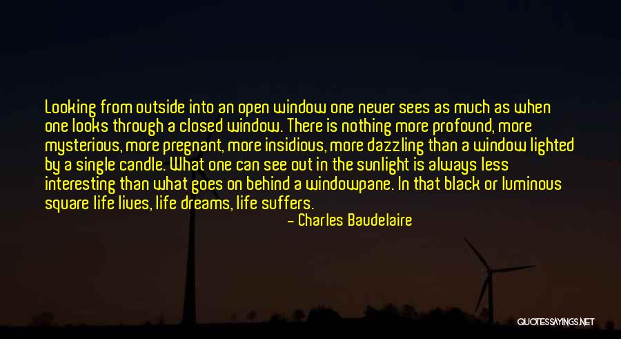 Sunlight Window Quotes By Charles Baudelaire