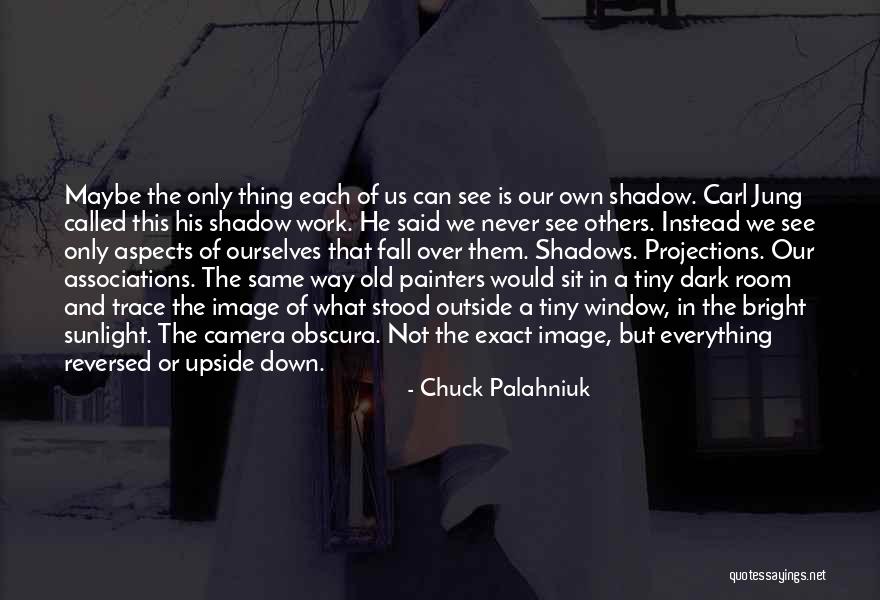 Sunlight Window Quotes By Chuck Palahniuk