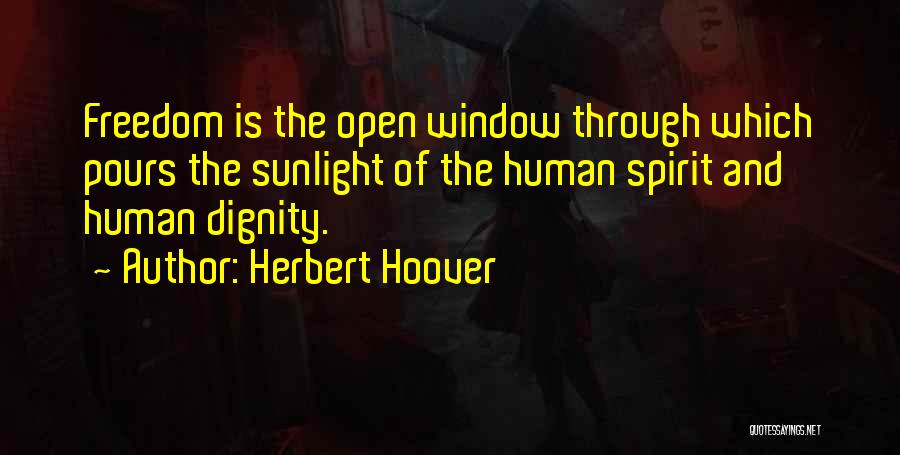 Sunlight Window Quotes By Herbert Hoover