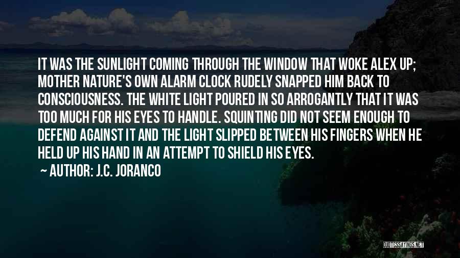 Sunlight Window Quotes By J.C. Joranco