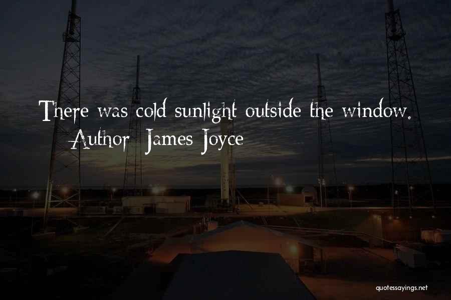Sunlight Window Quotes By James Joyce
