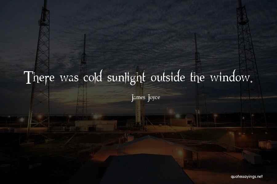 Sunlight Window Quotes By James Joyce