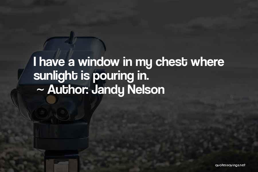 Sunlight Window Quotes By Jandy Nelson