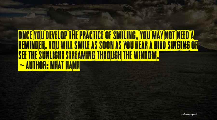 Sunlight Window Quotes By Nhat Hanh