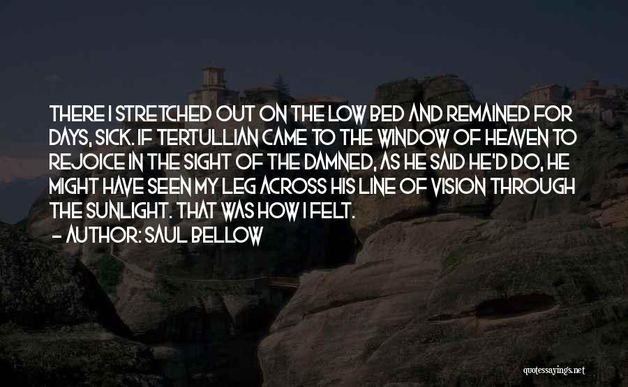 Sunlight Window Quotes By Saul Bellow