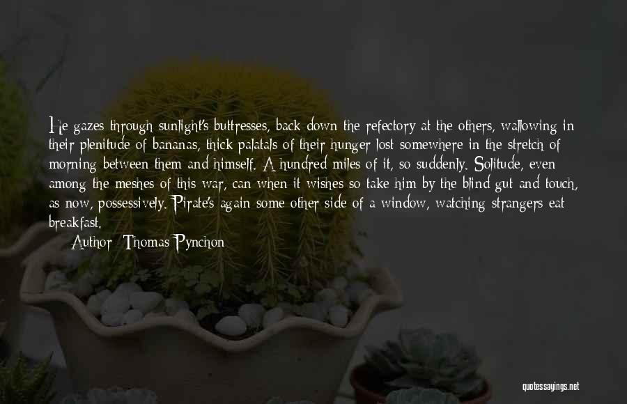 Sunlight Window Quotes By Thomas Pynchon