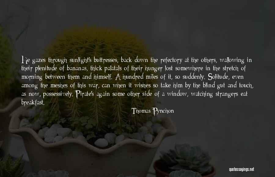 Sunlight Window Quotes By Thomas Pynchon