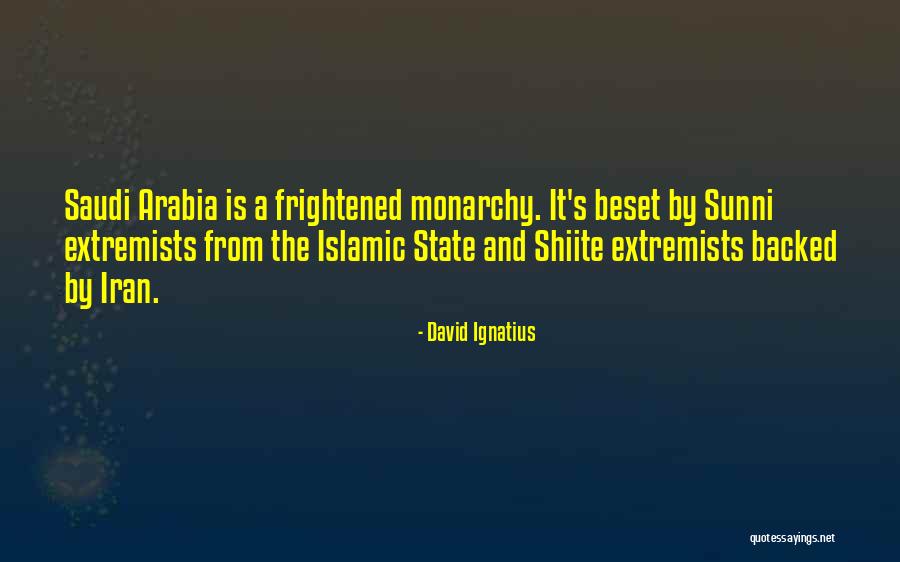 Sunni Quotes By David Ignatius