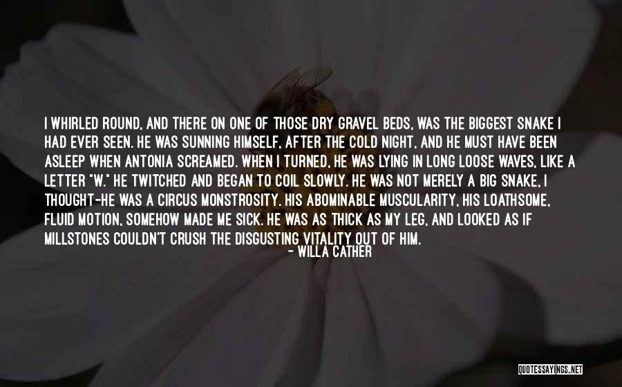 Sunning Quotes By Willa Cather Sunning Quotes By Willa Cather