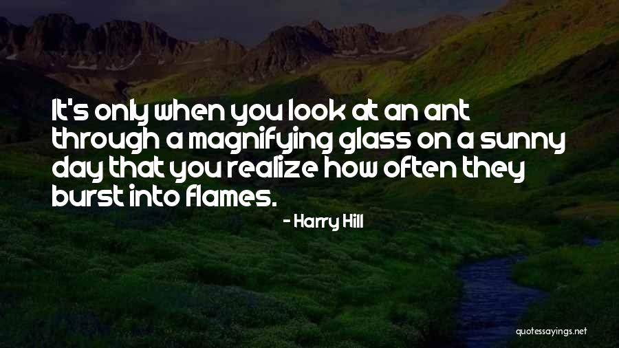 Sunny Day Quotes By Harry Hill Sunny Day Quotes By Harry Hill