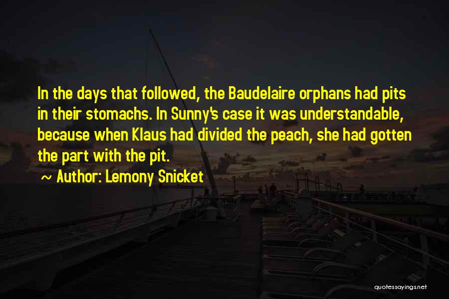 Sunny Days Quotes By Lemony Snicket Sunny Days Quotes By Lemony Snicket