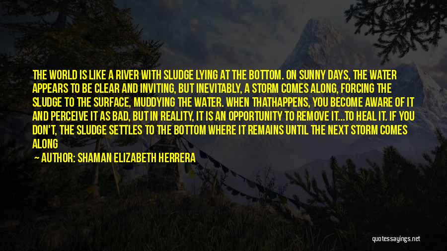 Sunny Days Quotes By Shaman Elizabeth Herrera Sunny Days Quotes By Shaman Elizabeth Herrera