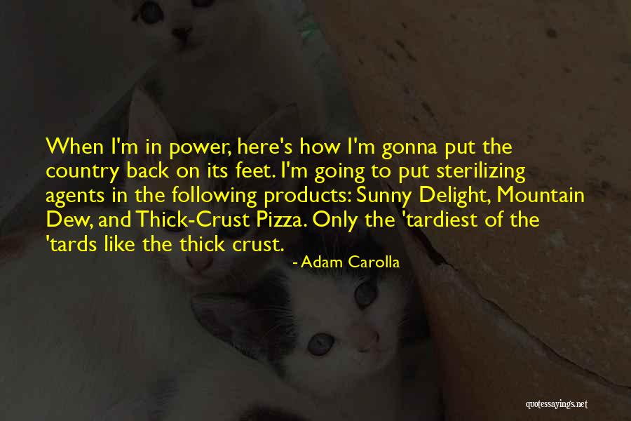 Sunny Delight Quotes By Adam Carolla