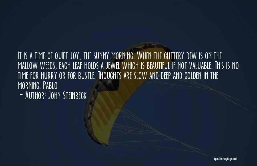 Sunny Morning Quotes By John Steinbeck