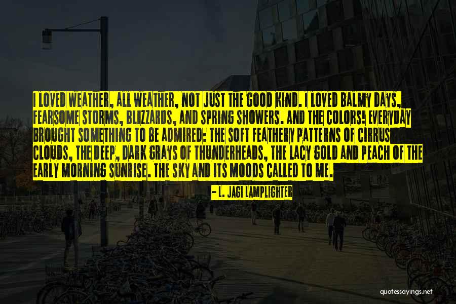 Sunrise And Clouds Quotes By L. Jagi Lamplighter Sunrise And Clouds Quotes By L. Jagi Lamplighter