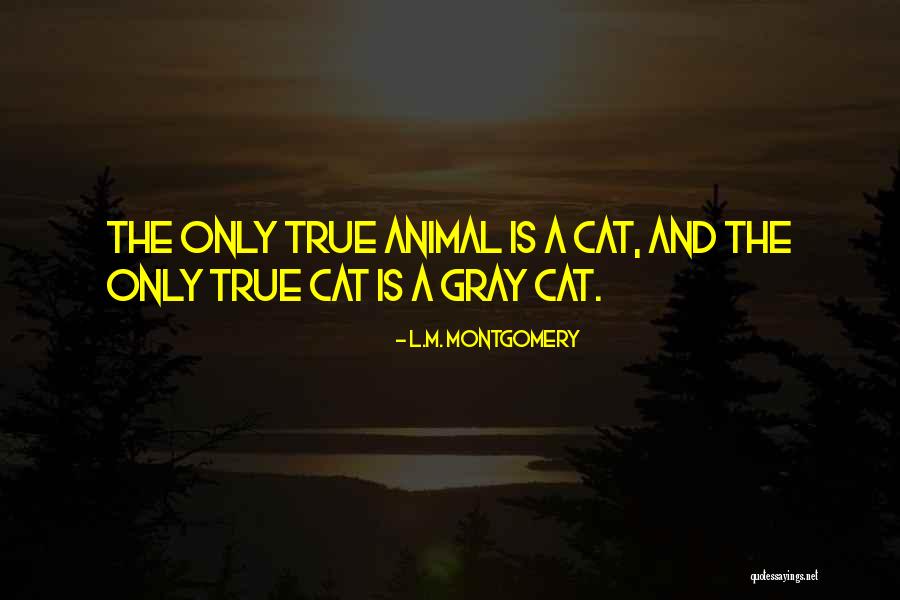 Sunrise In Sedona Quotes By L.M. Montgomery Sunrise In Sedona Quotes By L.M. Montgomery