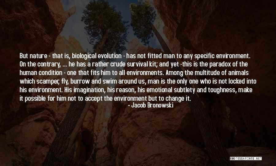 Sunrise Our Last Night Quotes By Jacob Bronowski