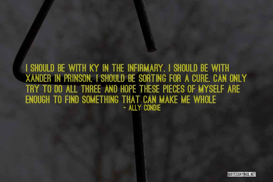 Sunrise Quotations Quotes By Ally Condie Sunrise Quotations Quotes By Ally Condie