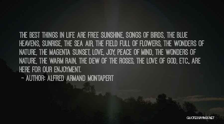 Sunset And Birds Quotes By Alfred Armand Montapert