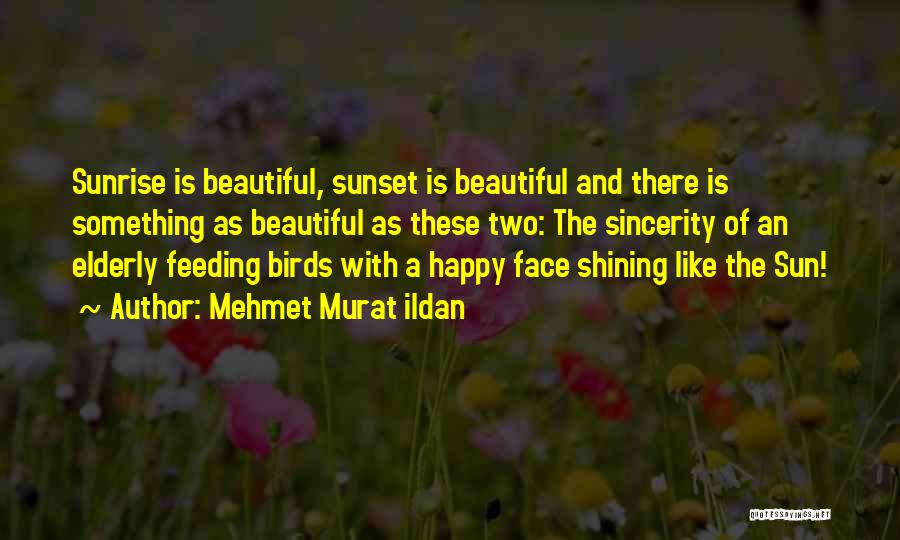 Sunset And Birds Quotes By Mehmet Murat Ildan