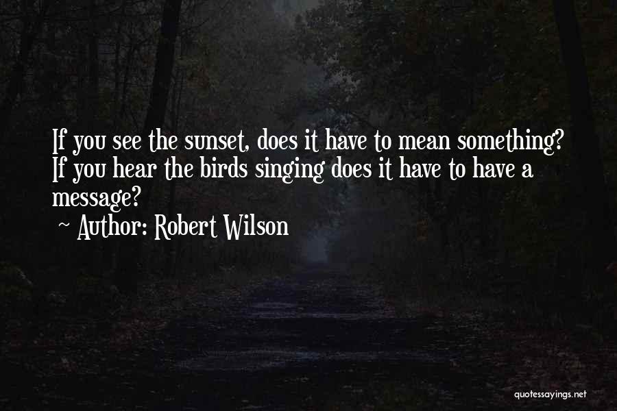 Sunset And Birds Quotes By Robert Wilson