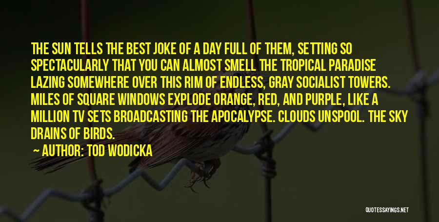 Sunset And Birds Quotes By Tod Wodicka