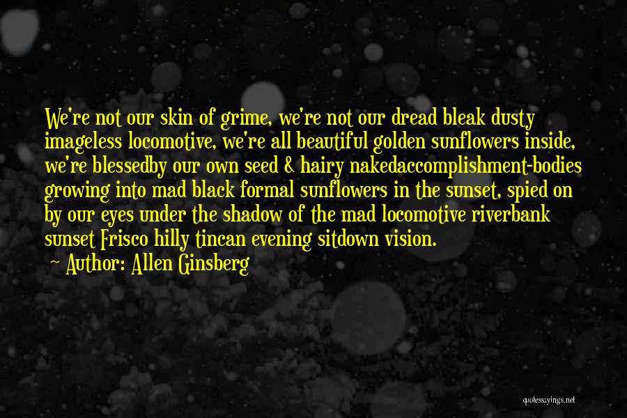 Sunset And Shadow Quotes By Allen Ginsberg