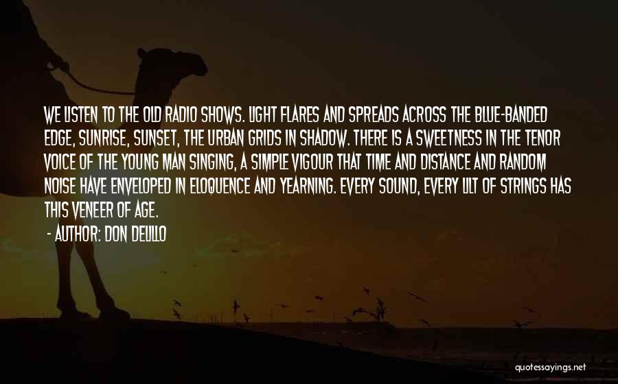 Sunset And Shadow Quotes By Don DeLillo