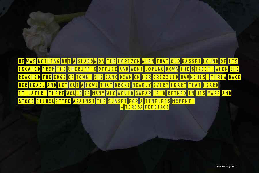 Sunset And Shadow Quotes By Teresa Medeiros Sunset And Shadow Quotes By Teresa Medeiros