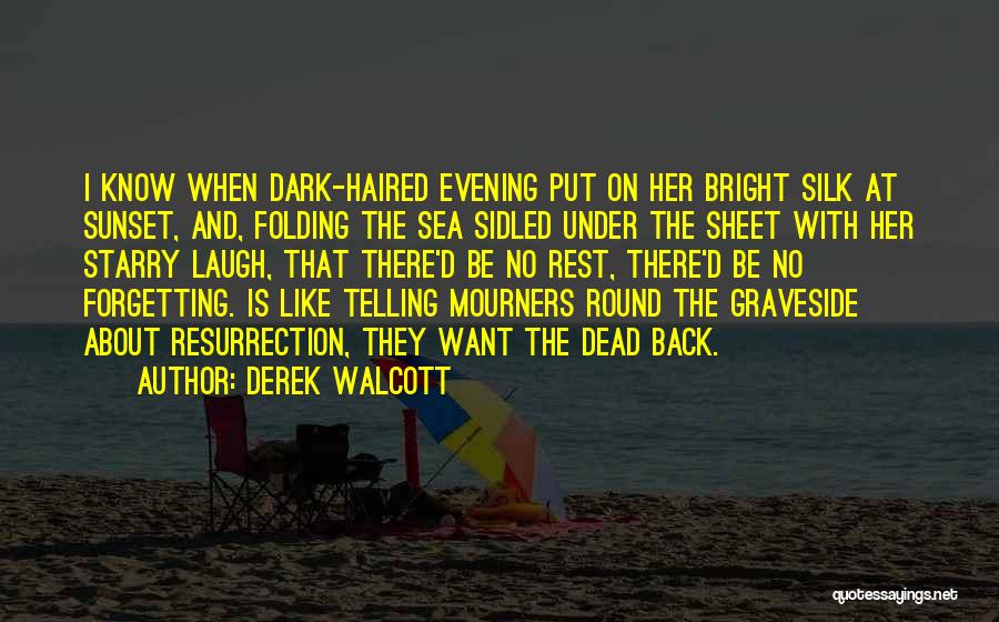 Sunset On The Sea Quotes By Derek Walcott