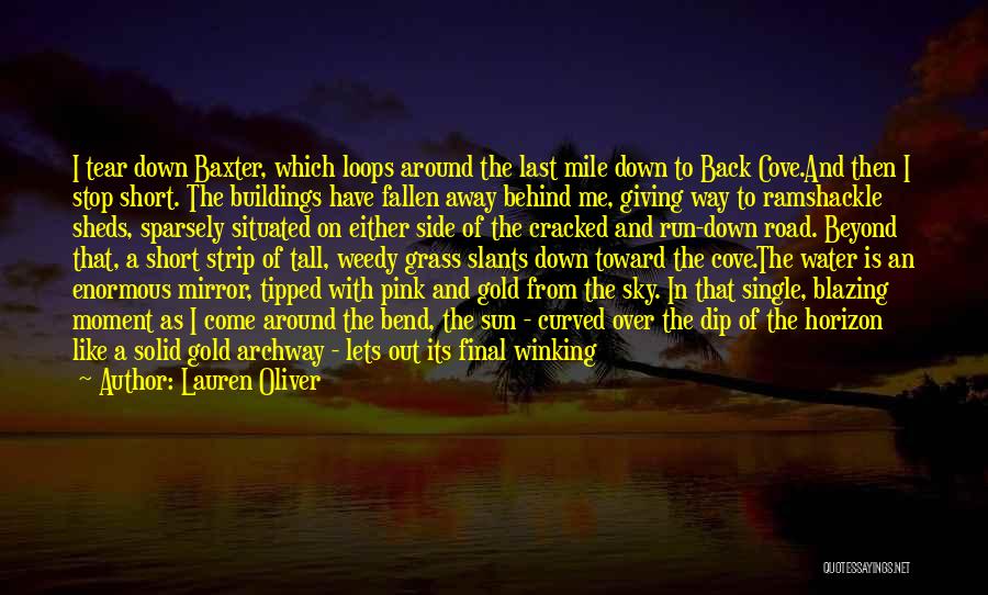 Sunset On The Water Quotes By Lauren Oliver