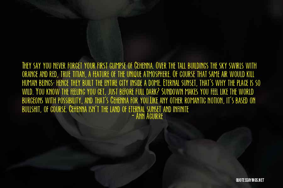 Sunset Orange Quotes By Ann Aguirre Sunset Orange Quotes By Ann Aguirre