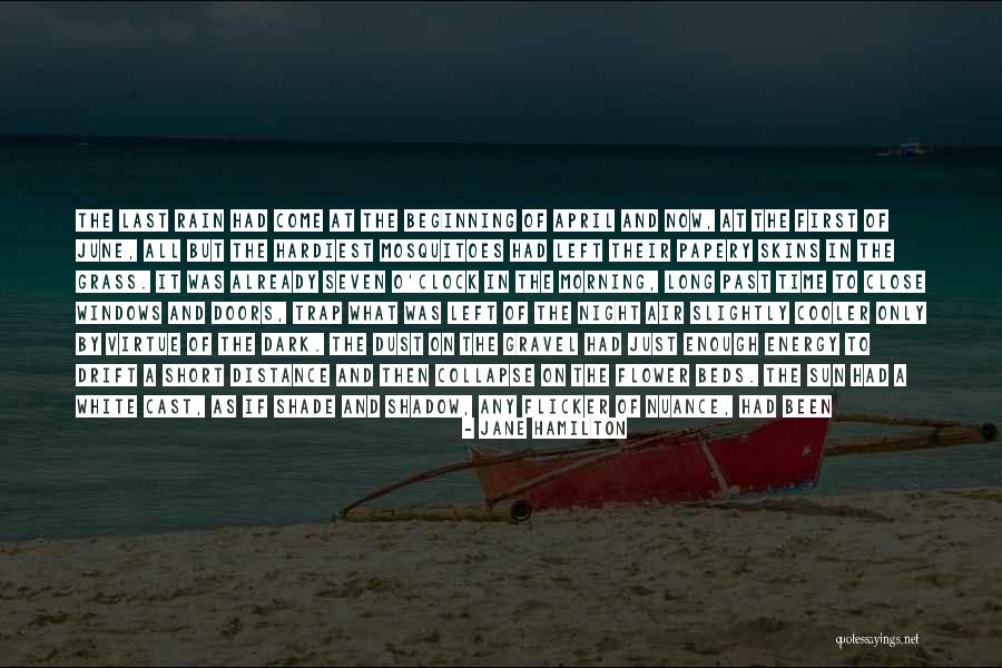 Sunset Orange Quotes By Jane Hamilton Sunset Orange Quotes By Jane Hamilton