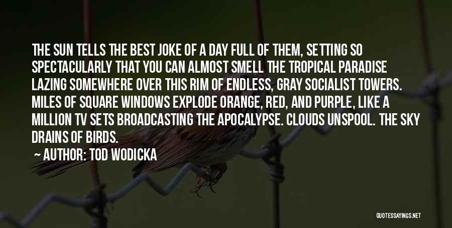 Sunset Orange Quotes By Tod Wodicka