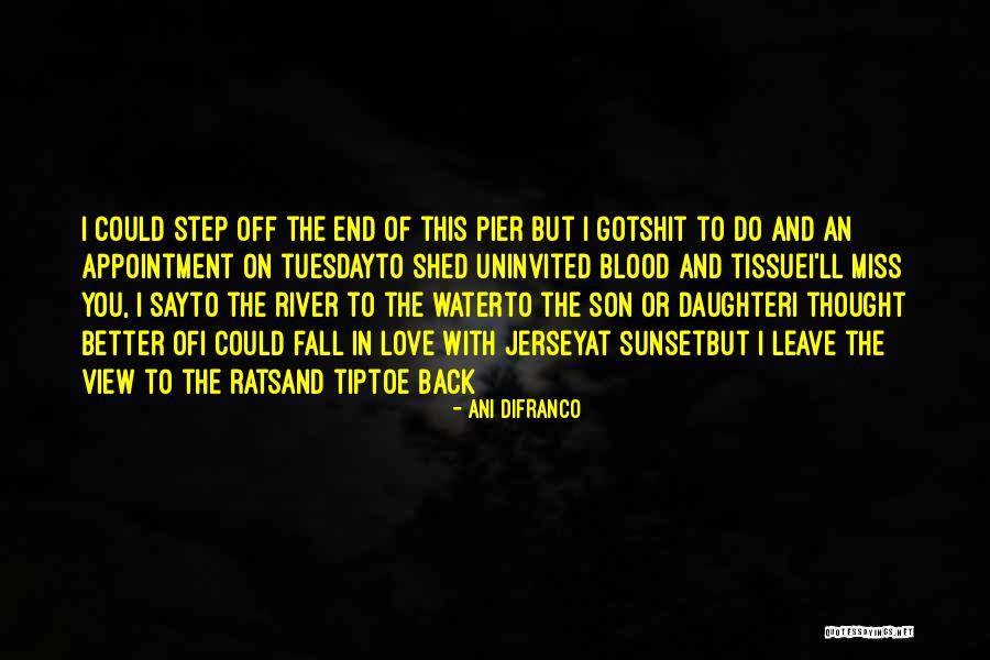 Sunset Over Water Quotes By Ani DiFranco Sunset Over Water Quotes By Ani DiFranco