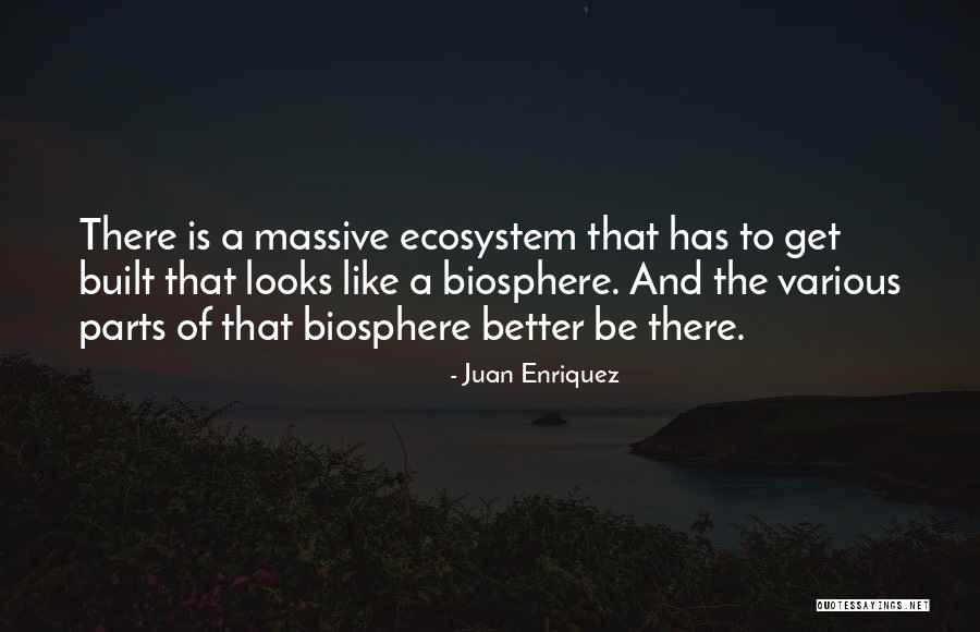 Sunset Qouts Quotes By Juan Enriquez Sunset Qouts Quotes By Juan Enriquez