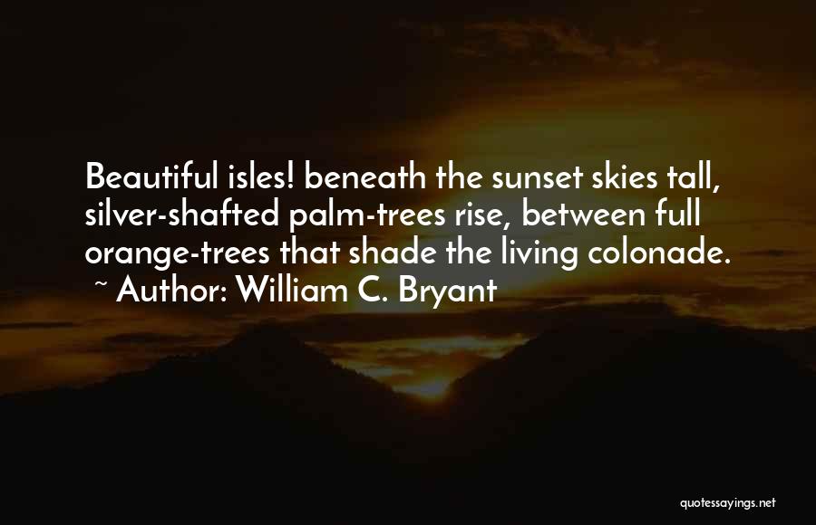 Sunset Skies Quotes By William C. Bryant