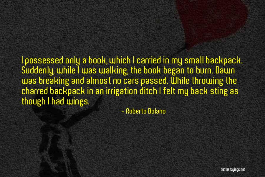 Sunsets And Family Quotes By Roberto Bolano Sunsets And Family Quotes By Roberto Bolano