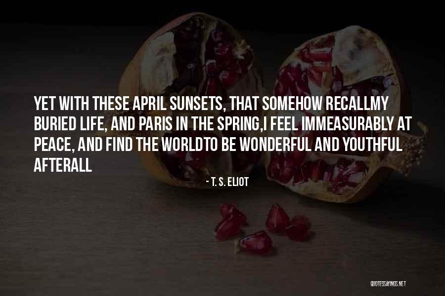 Sunsets Quotes By T. S. Eliot