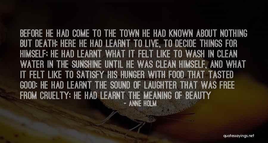 Sunshine And Beauty Quotes By Anne Holm