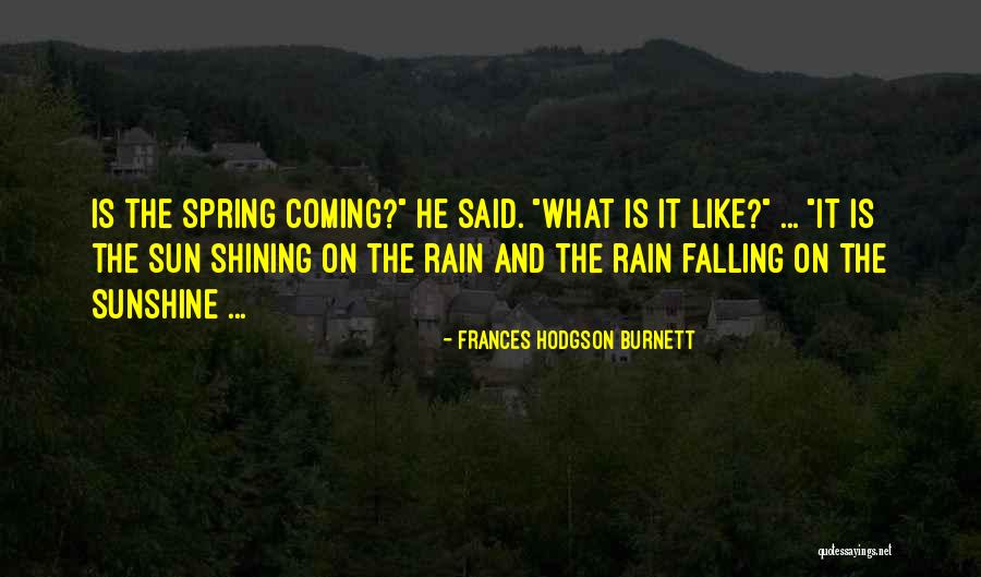 Sunshine And Beauty Quotes By Frances Hodgson Burnett