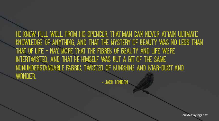 Sunshine And Beauty Quotes By Jack London